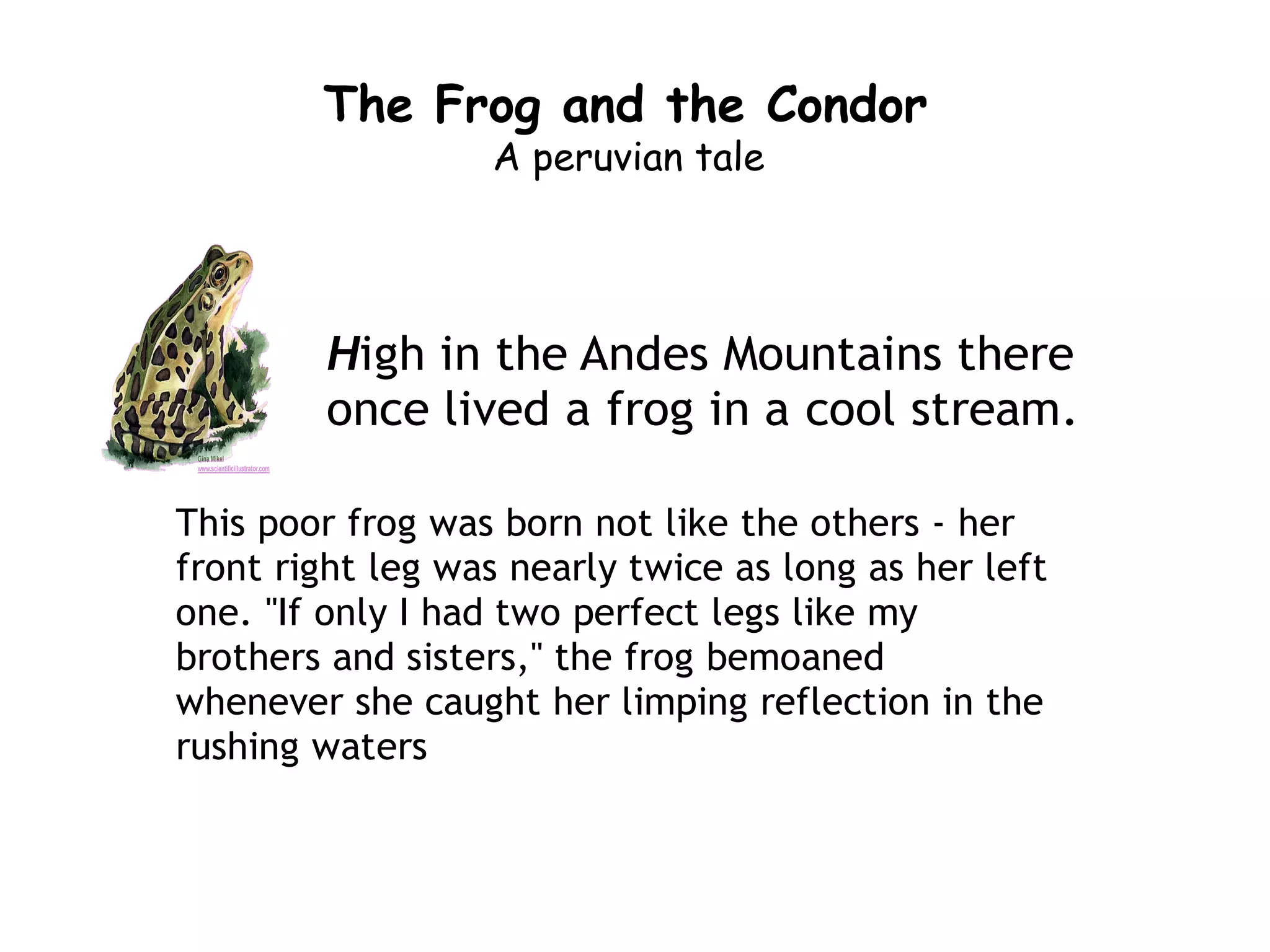 The Frog and the Condor
                  A peruvian tale




        High in the Andes Mountains there
        once lived a frog in a cool stream.

This poor frog was born not like the others - her
front right leg was nearly twice as long as her left
one. "If only I had two perfect legs like my
brothers and sisters," the frog bemoaned
whenever she caught her limping reflection in the
rushing waters
 