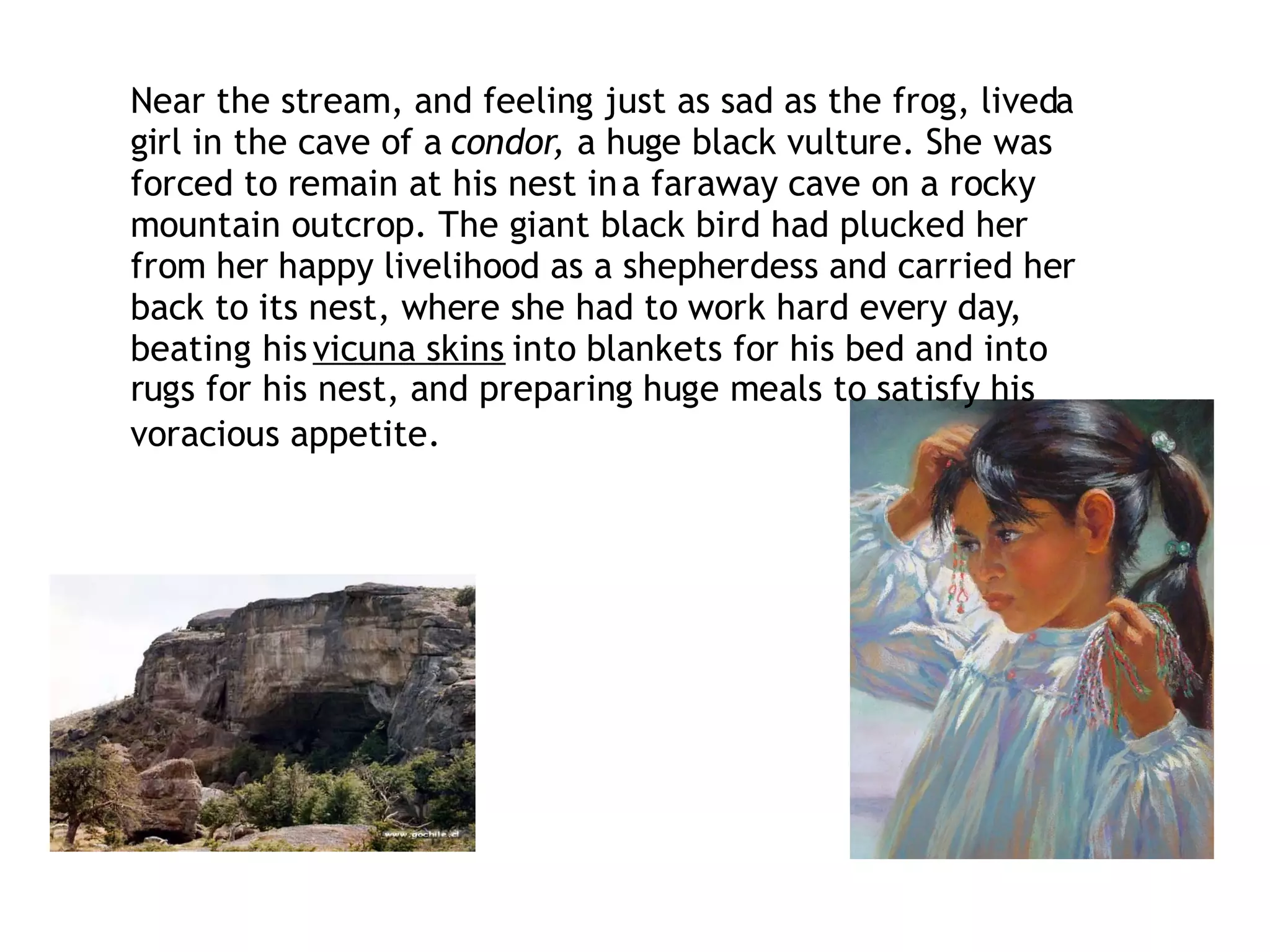 Near the stream, and feeling just as sad as the frog, liveda
girl in the cave of a condor, a huge black vulture. She was
forced to remain at his nest in a faraway cave on a rocky
mountain outcrop. The giant black bird had plucked her
from her happy livelihood as a shepherdess and carried her
back to its nest, where she had to work hard every day,
beating his vicuna skins into blankets for his bed and into
rugs for his nest, and preparing huge meals to satisfy his
voracious appetite.
 