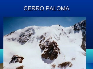 CERRO PALOMA
 