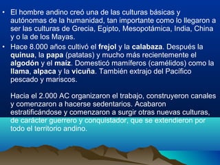 • El hombre andino creó una de las culturas básicas y
  autónomas de la humanidad, tan importante como lo llegaron a
  ser las culturas de Grecia, Egipto, Mesopotámica, India, China
  y o la de los Mayas.
• Hace 8.000 años cultivó el frejol y la calabaza. Después la
  quinua, la papa (patatas) y mucho más recientemente el
  algodón y el maíz. Domesticó mamíferos (camélidos) como la
  llama, alpaca y la vicuña. También extrajo del Pacífico
  pescado y mariscos.

  Hacia el 2.000 AC organizaron el trabajo, construyeron canales
  y comenzaron a hacerse sedentarios. Acabaron
  estratificándose y comenzaron a surgir otras nuevas culturas,
  de carácter guerrero y conquistador, que se extendieron por
  todo el territorio andino.
 