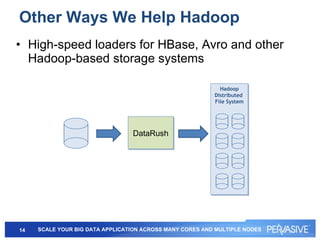 Other Ways We Help Hadoop High-speed loaders for HBase, Avro and other Hadoop-based storage systems Hadoop Distributed  File System DataRush 
