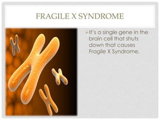 FRAGILE X SYNDROME
It’s a single gene in the
brain cell that shuts
down that causes
Fragile X Syndrome.
 
