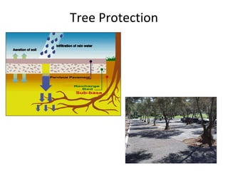Tree Protection 