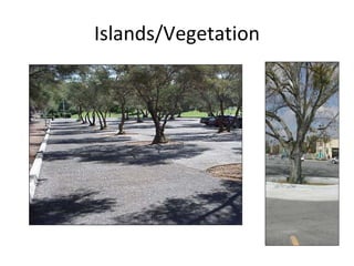 Islands/Vegetation 