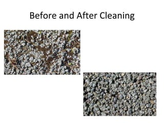 Before and After Cleaning 