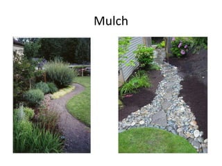 Mulch 
