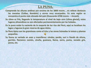 5Perú y su diversidad de Fauna5to. país en el mundo en especies de fauna