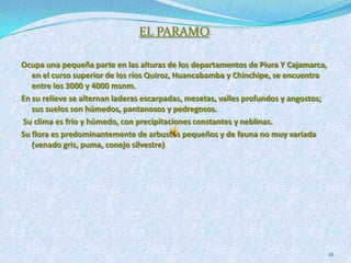 2to. país en diversidad de aves: 1,811 especies 