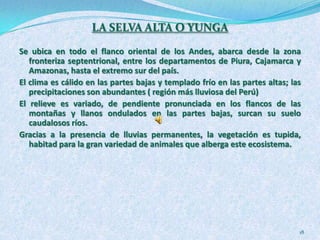 30% de las especies de aves son endémicas(Gallito de la Roca, Pava ala blanca, etc)