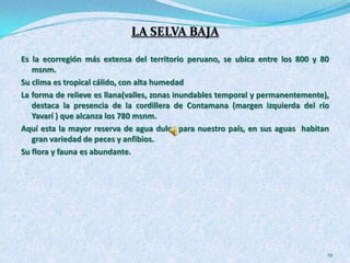 3,700 especies de mariposas