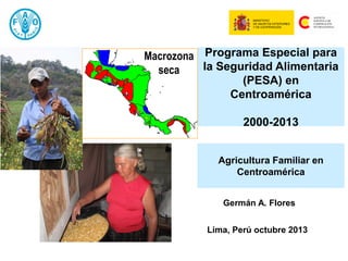Agricultura Familiar en Centroamérica 
Programa Especial para la Seguridad Alimentaria (PESA) en Centroamérica 2000-2013 
Lima, Perú octubre 2013 
Germán A. Flores 
Macrozona seca  