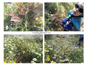 th Fo Th
  e b r is
     oo hig is
       k h- dr
        to qu af
           P i al t p
              c- ity rin
                A p to
                 -B ri u
                   oo nts t.
                     k p
               ‫המדבר לובש פריחה אביבית ומלבלבת‬




                      sit lea
                         e! se
                               up
                                  lo
                                     ad
 