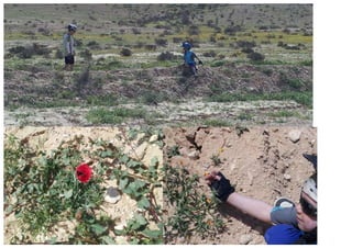 th Fo Th
  e b r is
     oo hig is
       k h- dr
        to qu af
           P i al t p
              c- ity rin
                A p to
                 -B ri u
                   oo nts t.
                     k p
                      sit lea
                         e! se
                               up
                                  lo
                                     ad
 