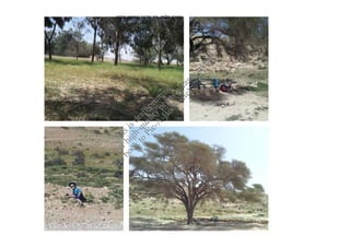 th Fo Th
  e b r is
     oo hig is
       k h- dr
        to qu af
           P i al t p
              c- ity rin
                A p to
                 -B ri u
                   oo nts t.
                     k p
                                          ‫עצירה בלימ , נוה מדבר באמצע הדר‬




                      sit lea
                         e! se
                               up
                                  lo
                                     ad
 