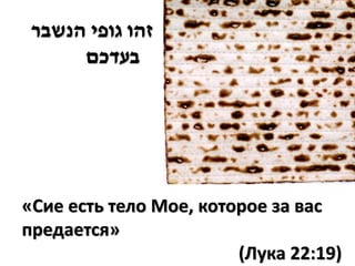 ‫זהו גופי הנשבר‬
     ‫בעדכם‬




«Сие есть тело Мое, которое за вас
предается»
                        (Лука 22:19)
 