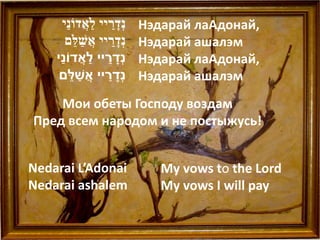 ‫נְדָׁ ריי לַׁאֲ דֹונַׁי‬
                             ַׁ   Нэдарай лаАдонай,
         ‫נְדָׁ ריי אֲ שַׁ לֵׁם‬
                          ַׁ      Нэдарай ашалэм
     ַׁ           ַׁ ַׁ ָׁ
    ‫נְדריי לאֲ דֹוני‬              Нэдарай лаАдонай,
            ֵׁ ַׁ
     ‫נְדריי אֲ שלם‬      ַׁ ָׁ     Нэдарай ашалэм
    Мои обеты Господу воздам
Пред всем народом и не постыжусь!


Nedarai L’Adonai                     My vows to the Lord
Nedarai ashalem                      My vows I will pay
 