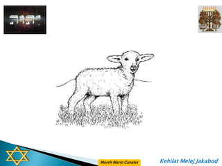 Moreh Mario Canales   Kehilat Melej Jakabod
 