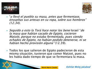    “y llevó el pueblo su masa, antes que fermentase,
    envueltas sus artesas en su ropa, sobre sus hombros”
    (12.34).

   Seguido a esto la Torá hace notar los bene Israel “de
    la masa que habían sacado de Egipto, cocieron
    Matzót, porque no estaba fermentada, pues siendo
    echados de Egipto, no habían podido detenerse, ni se
    habían hecho provisión alguna” (12.39).

   Todos los que salieron de Egipto padecieron de esta
    misma situación, tuvieron que comer Matzot, pues no
    les había dado tiempo de que se fermentara la masa.


                          Moreh Mario Canales   Kehilat Melej Jakabod
 