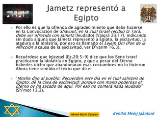    Por ello es que la ofrenda de agradecimiento que debe hacerse
    en la Convocación de Shavuot, en la cual Israel recibió la Torá,
    debe ser ofrecida con Jametz (leudado) (Vaiqrá 23.17), indicando
    sin duda alguna que Jametz representó a Egipto, la esclavitud, la
    atadura a la idolatría, por eso es llamado el Lejem Oni (Pan de la
    Aflicción a causa de la esclavitud, ver D‟varim 16.3).

   Recuérdese que Iejezqel (Ez.20:5-9) dice que los Bene Israel
    practicaron la idolatría en Egipto, y que a pesar del Eterno
    haberles dicho que abandonaran esas costumbres no lo hicieron.
    Ahora tiene sentido el texto que dice:

   “Moshe dijo al pueblo: Recuerden este día en el cual salisteis de
    Egipto, de la casa de esclavitud; porque con mano poderosa el
    Eterno os ha sacado de aquí. Por eso no comerá nada leudado”
    (Sh‟mot 13.3).




                               Moreh Mario Canales   Kehilat Melej Jakabod
 
