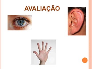 AVALIAÇÃO 