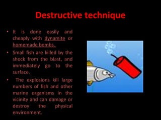 Destructive technique It is done easily and cheaply with  dynamite  or  homemade bombs.  Small fish are killed by the shock from the blast, and immediately go to the surface. The explosions kill large numbers of fish and other marine organisms in the vicinity and can damage or destroy the physical environment.  