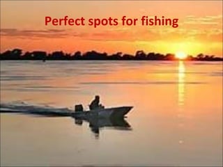 Perfect spots for fishing 