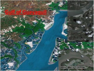 Gulf of Guayaquil 