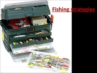 Fishing strategies 