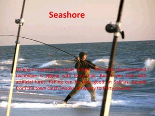 Seashore Fishing in seashore is really simple.  The most recommended technique is jigging with living bait. But if you troll with artificial lures, fishing can be very good. In Salinas, people from the town catch snooks of twenty to thirty pounds. 