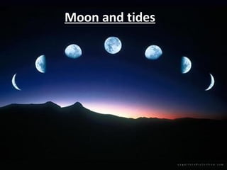 Moon and tides 