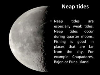 Neap tides Neap tides are especially weak tides. Neap tides occur during quarter moons. Fishing is good in places that are far from the city. For example: Chupadores, Bajen or Puna Island .  
