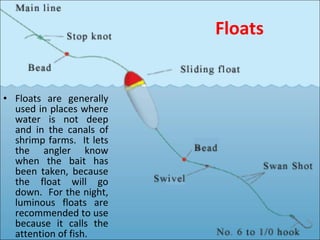 Floats Floats are generally used in places where water is not deep and in the canals of shrimp farms.  It lets the angler know when the bait has been taken, because the float will go down.  For the night, luminous floats are recommended to use because it calls the attention of fish. 