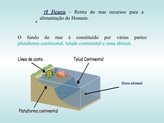 A Pesca  – Retira do mar recursos para a  alimentação do Homem. O fundo do mar é constituído por várias partes:  plataforma continental, talude continental e zona abissal . Zona abissal 