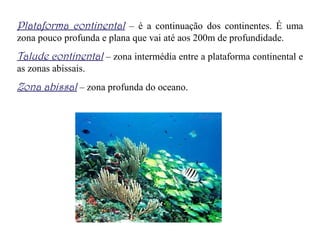 Plataforma continental  – é a continuação dos continentes. É uma zona pouco profunda e plana que vai até aos 200m de profundidade. Talude continental  – zona intermédia entre a plataforma continental e as zonas abissais. Zona abissal  – zona profunda do oceano. 