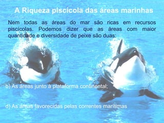 A Riqueza piscícola das áreas marinhas As áreas junto à plataforma continental; As áreas favorecidas pelas correntes marítimas Nem todas as áreas do mar são ricas em recursos piscícolas. Podemos dizer que as áreas com maior quantidade e diversidade de peixe são duas: 