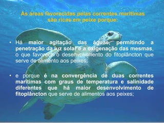 Há  maior agitação das águas, permitindo a penetração da luz solar e a oxigenação das mesmas , o que favorece o desenvolvimento do fitoplâncton que serve de alimento aos peixes; e porque  é na convergência de duas correntes marítimas com graus de temperatura e salinidade diferentes que há maior desenvolvimento de fitoplâncton  que serve de alimentos aos peixes; As áreas favorecidas pelas correntes marítimas são ricas em peixe porque: 