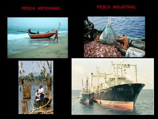 PESCA  ARTESANAL PESCA  INDUSTRIAL 