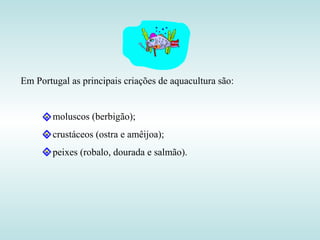 Em Portugal as principais criações de aquacultura são: moluscos (berbigão); crustáceos (ostra e amêijoa); peixes (robalo, dourada e salmão). 