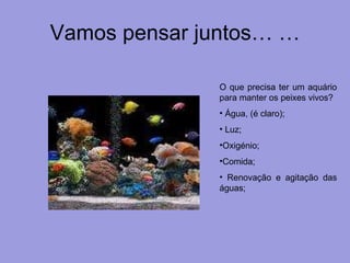 Vamos pensar juntos… … O que precisa ter um aquário para manter os peixes vivos? Água, (é claro);  Luz; Oxigénio; Comida; Renovação e agitação das águas; 