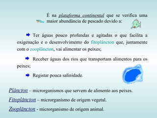 É na  plataforma continental  que se verifica uma maior abundância de pescado devido a: Plâncton  – microrganismos que servem de alimento aos peixes. Fitoplâncton  – microrganismo de origem vegetal. Zooplâncton  - microrganismo de origem animal. Ter águas pouco profundas e agitadas o que facilita a oxigenação e o desenvolvimento do  fitoplâncton  que, juntamente com o  zooplâncton , vai alimentar os peixes; Receber águas dos rios que transportam alimentos para os peixes; Registar pouca salinidade . 