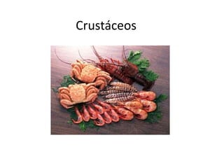 Crustáceos