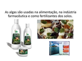 As algas são usadas na alimentação, na indústria farmacêutica e como fertilizantes dos solos.