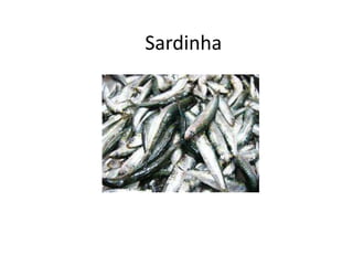 Sardinha