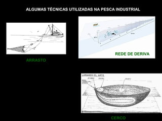 ALGUMAS TÉCNICAS UTILIZADAS NA PESCA INDUSTRIAL
ARRASTO
CERCO
REDE DE DERIVA
 