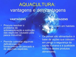 AQUACULTURA:
vantagens e desvantagens
VANTAGENS
• Procura resolver o
problema de
sobreexploração e extinção
das espécies causado pela
pesca industrial;
• Permite colmatar algumas
deficiências no
fornecimento de pescado e
de algumas espécies;
DESVANTAGENS
• Os peixes vivem em habitats
artificiais;
• Os peixes são alimentados à
base de rações que colocam
em perigo a segurança da
saúde humana e a qualidade
nutritiva destes produtos
alimentares;
 