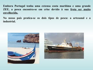 Embora Portugal tenha uma extensa costa marítima e uma grande
ZEE, a pesca encontra-se em crise devido à sua frota ser muito
envelhecida.
No nosso país pratica-se os dois tipos de pesca: a artesanal e a
industrial.
 