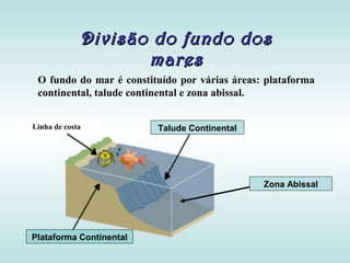 Divisão do fundo dosDivisão do fundo dos
maresmares
O fundo do mar é constituído por várias áreas: plataforma
continental, talude continental e zona abissal.
Talude Continental
Zona Abissal
Plataforma Continental
Linha de costa
 