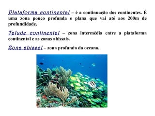 Plataforma continental – é a continuação dos continentes. É
uma zona pouco profunda e plana que vai até aos 200m de
profundidade.
Talude continental – zona intermédia entre a plataforma
continental e as zonas abissais.
Zona abissal – zona profunda do oceano.
 