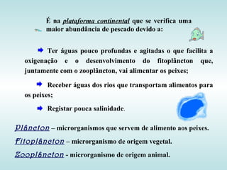 Ter águas pouco profundas e agitadas o que facilita a
oxigenação e o desenvolvimento do fitoplâncton que,
juntamente com o zooplâncton, vai alimentar os peixes;
Receber águas dos rios que transportam alimentos para
os peixes;
Registar pouca salinidade.
É na plataforma continental que se verifica uma
maior abundância de pescado devido a:
Plâncton – microrganismos que servem de alimento aos peixes.
Fitoplâncton – microrganismo de origem vegetal.
Zooplâncton - microrganismo de origem animal.
 