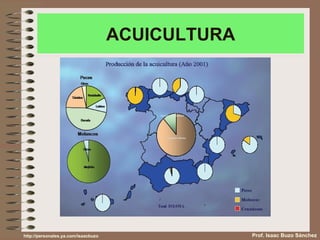 ACUICULTURA Prof. Isaac Buzo Sánchez http://personales.ya.com/isaacbuzo 